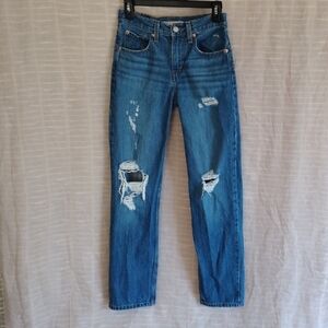 Signature by Levi Strauss Men's Distressed Blue Jeans